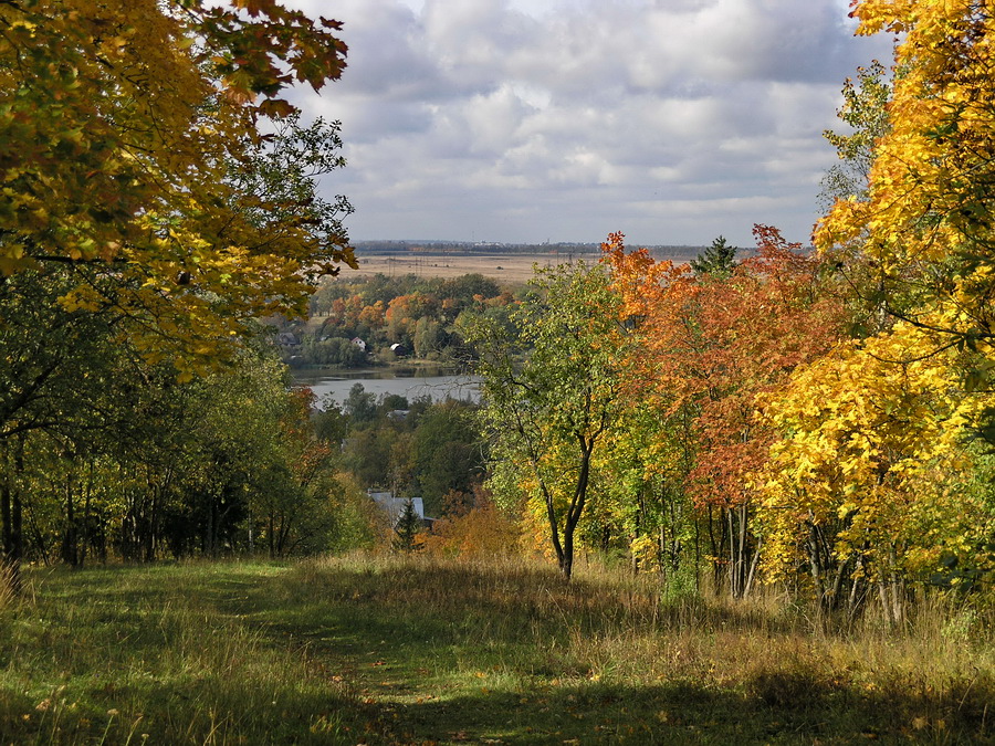 Дудергофские высоты, image of landscape/habitat.