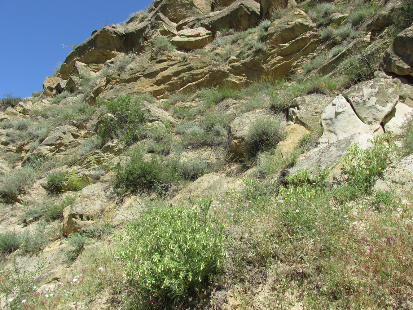 Хребет Нарат-Тюбе, изображение ландшафта.