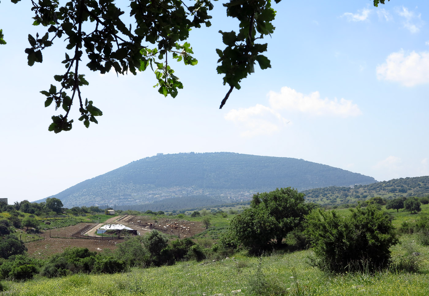 Нижняя Галилея, изображение ландшафта.