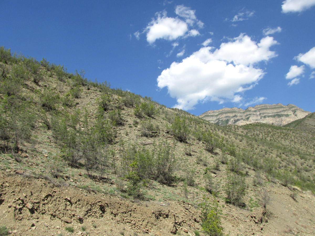 Долина Ирганайского вдхр., изображение ландшафта.