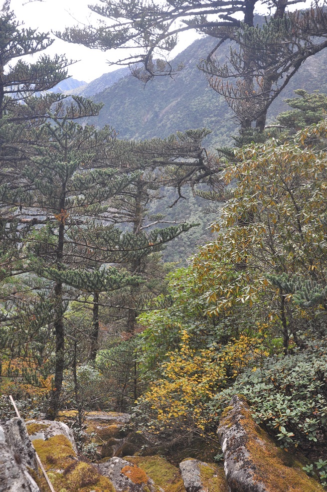 Гора Цаншань, изображение ландшафта.