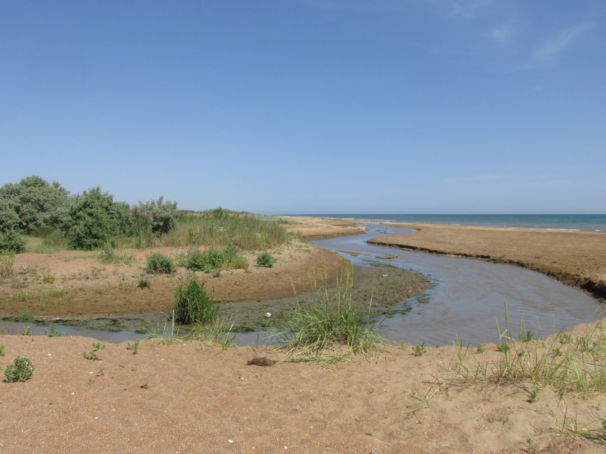 Берег моря у посёлка Мамедкала, изображение ландшафта.