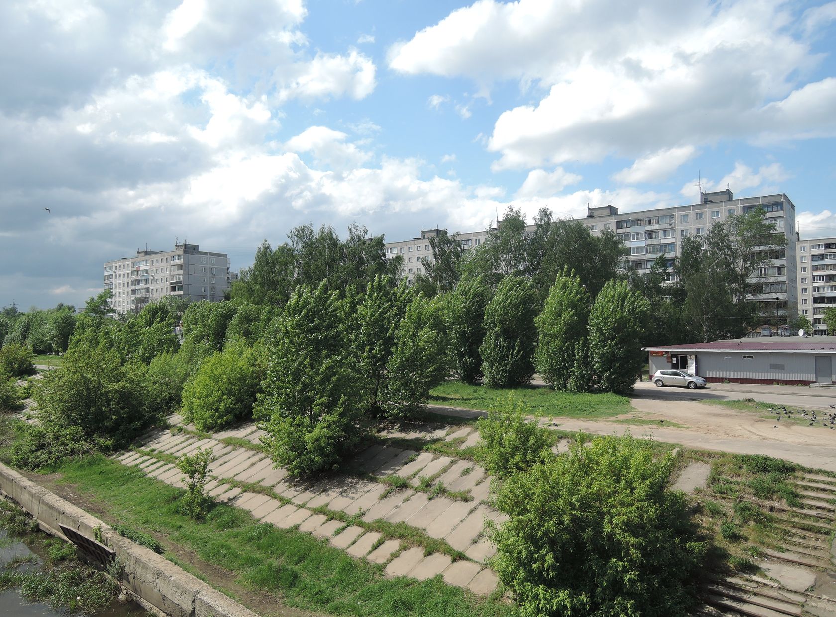 Орехово-Зуево и окрестности, изображение ландшафта.
