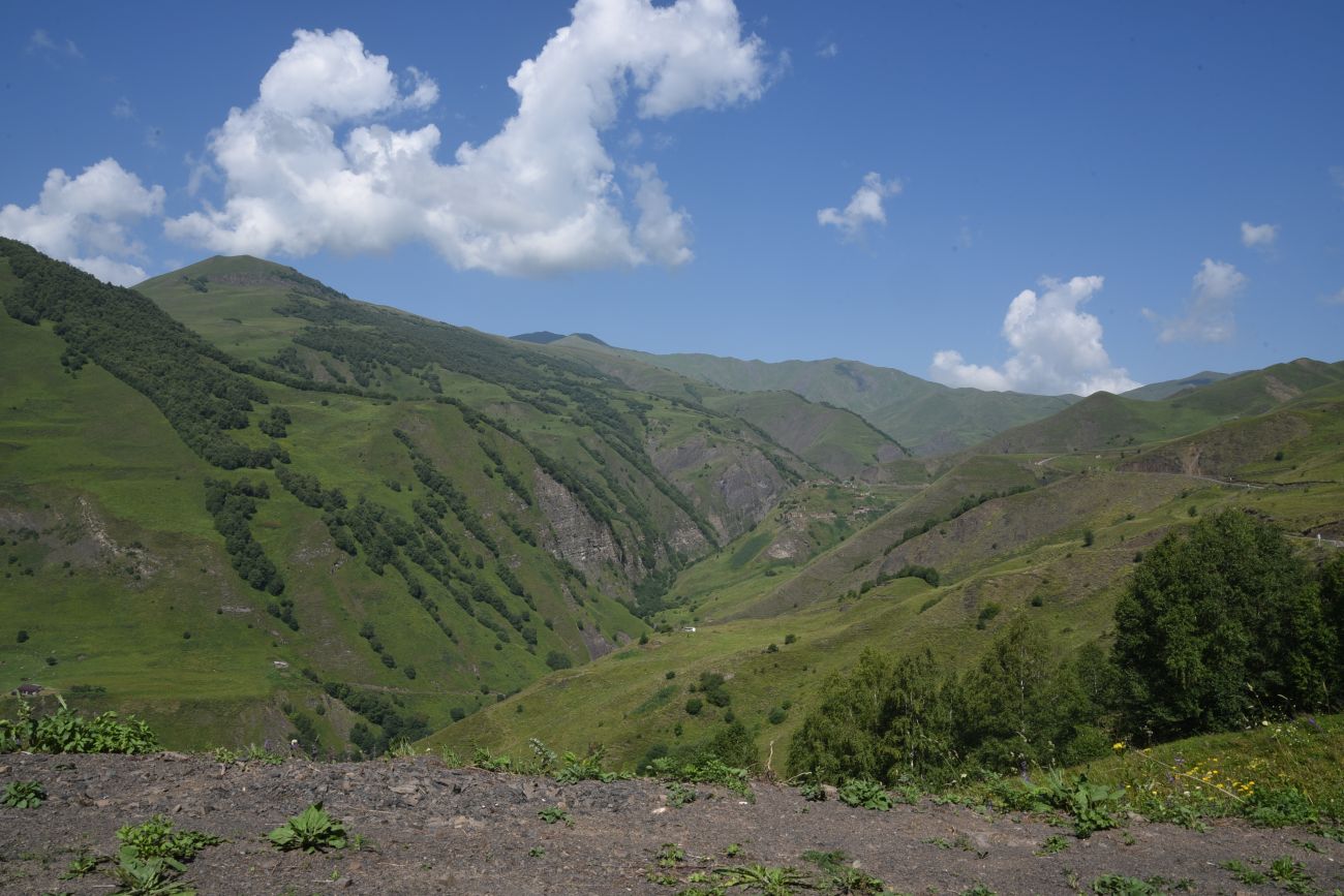 Долина реки Шикаройакх, изображение ландшафта.