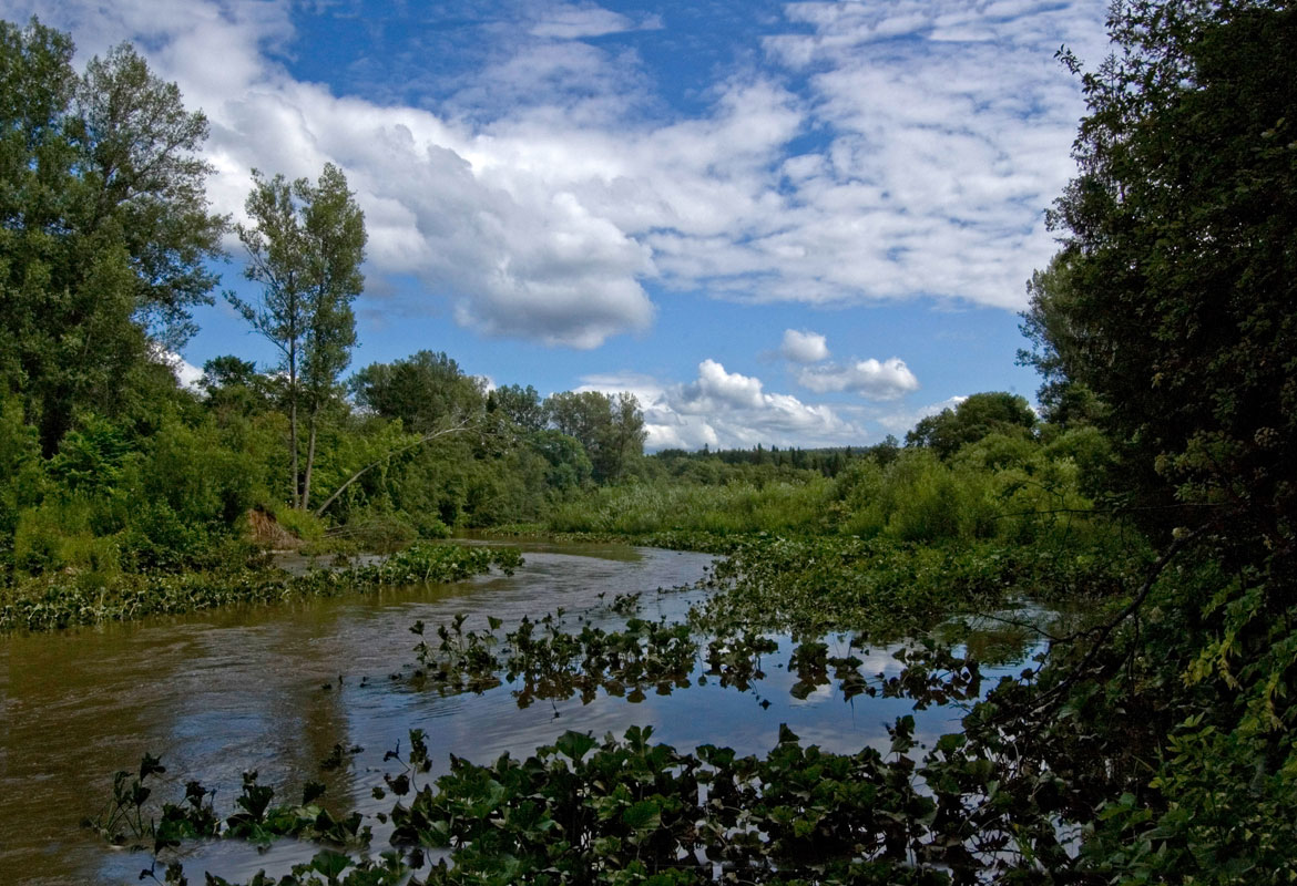 Река Бабка, изображение ландшафта.