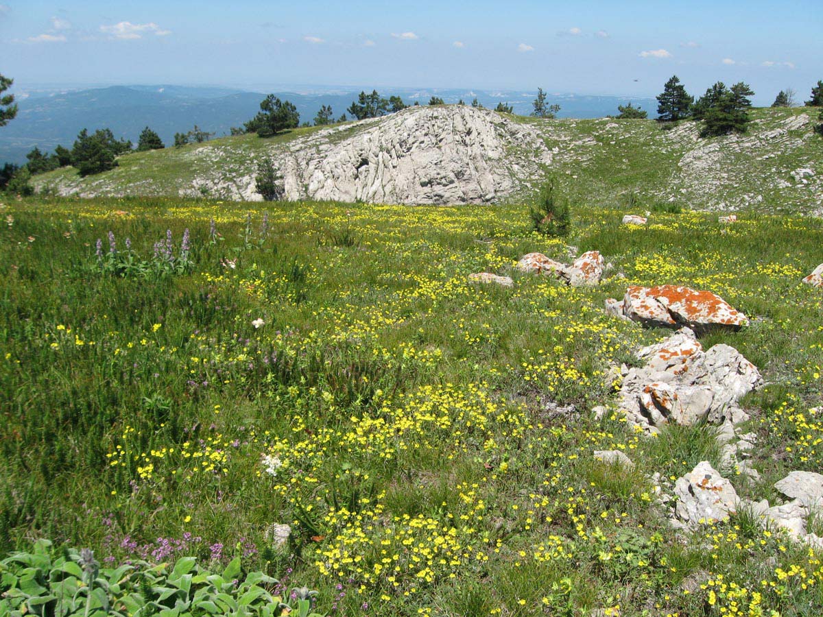 Гора Лапата, image of landscape/habitat.