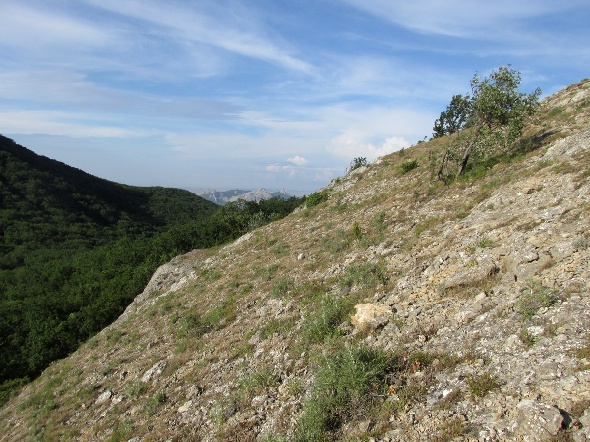 Эчкидаг, изображение ландшафта.