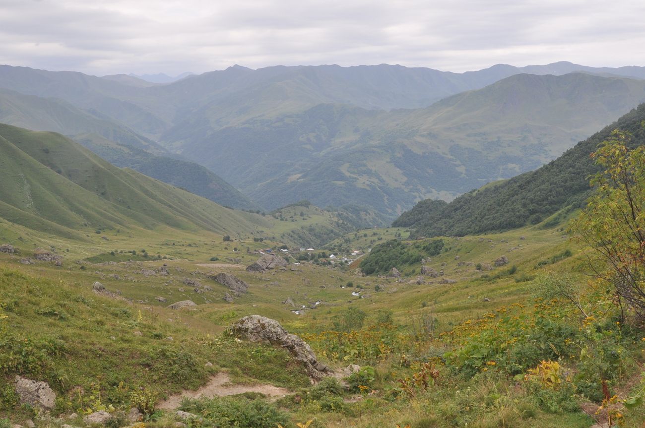 Окрестности села Рошка, изображение ландшафта.