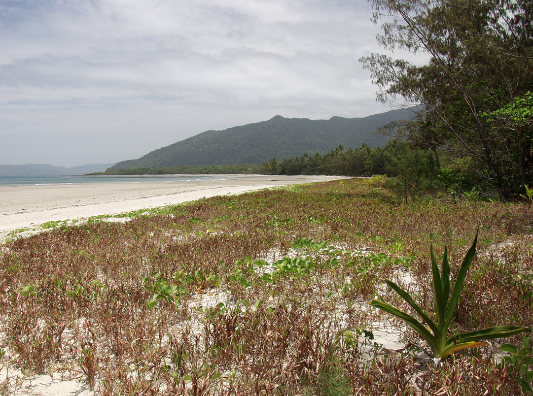 Cape Tribulation, изображение ландшафта.