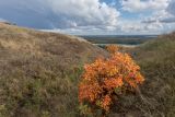 Раздорские склоны, изображение ландшафта.