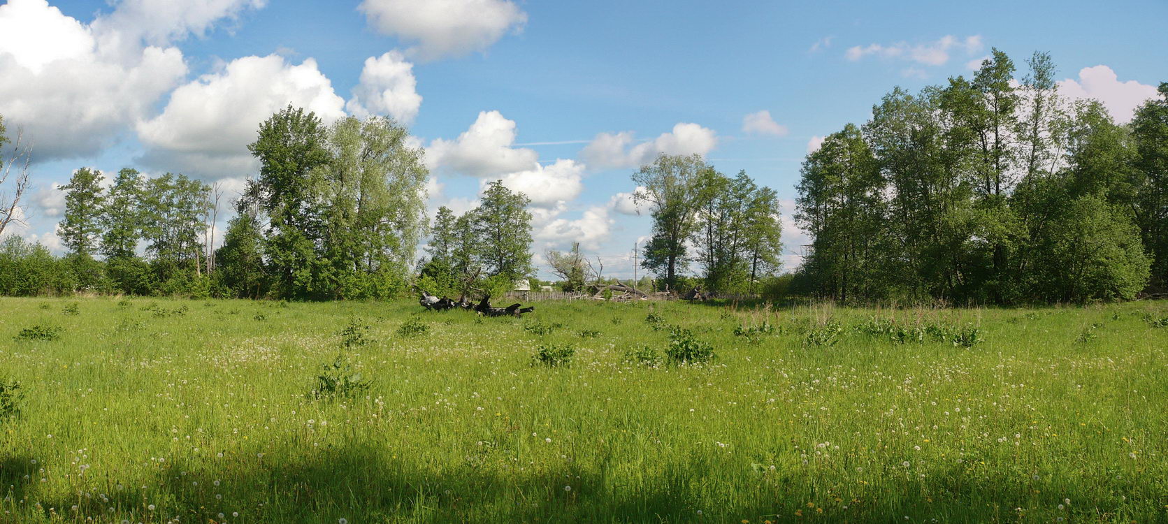 Урочище Низкое поле, изображение ландшафта.