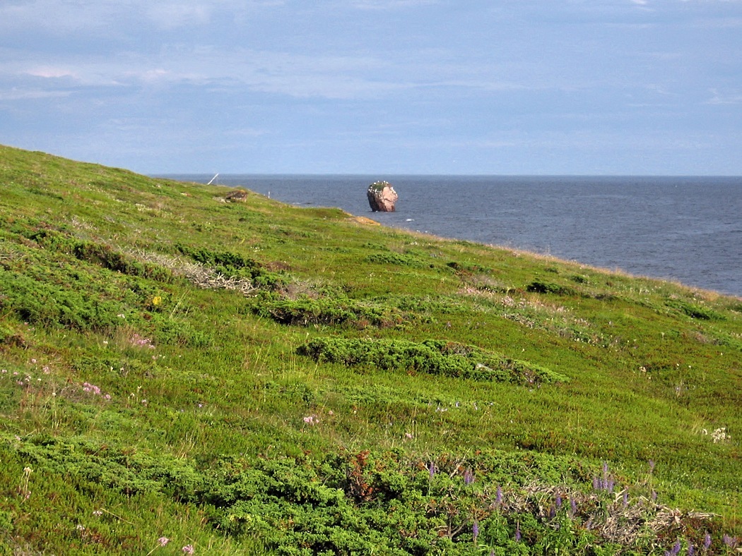 Аметистовый берег, image of landscape/habitat.