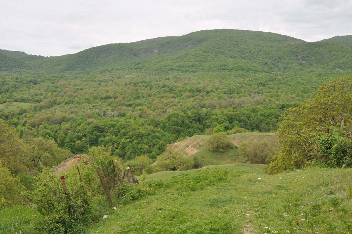 Окрестности деревни Ннги, изображение ландшафта.