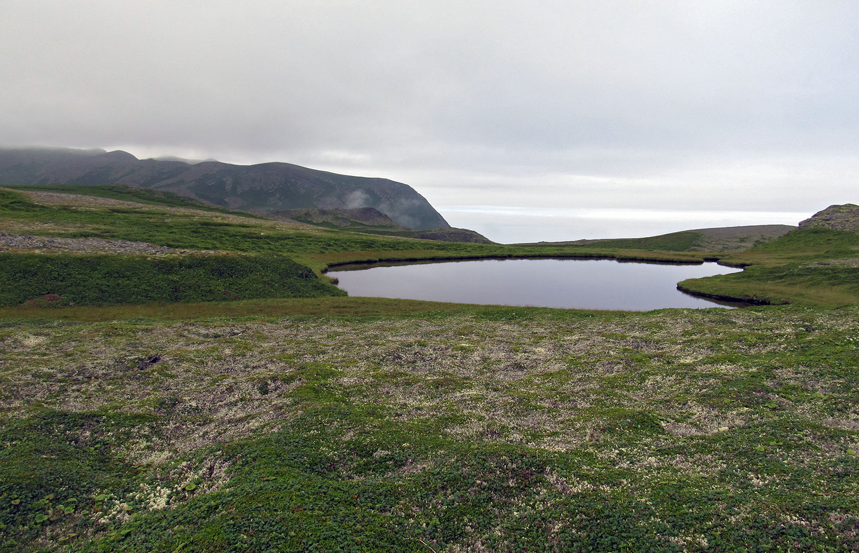 Остров Медный, изображение ландшафта.
