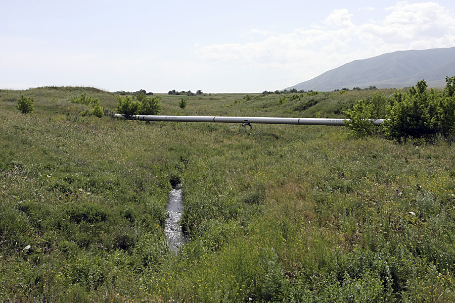 Истоки Арыси, image of landscape/habitat.