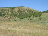 Окрестности села Дарваг, image of landscape/habitat.