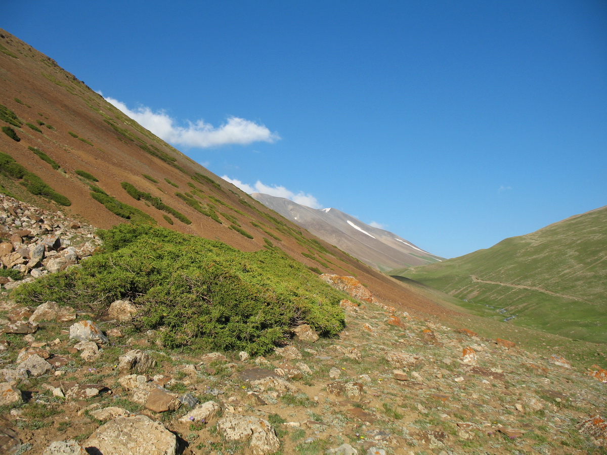 Перевал Кара-Буура, изображение ландшафта.