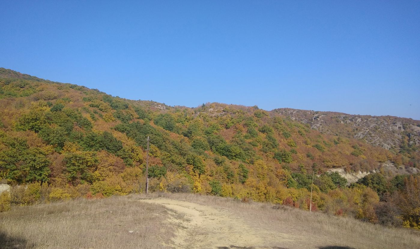 Окрестности села Гохнари, изображение ландшафта.
