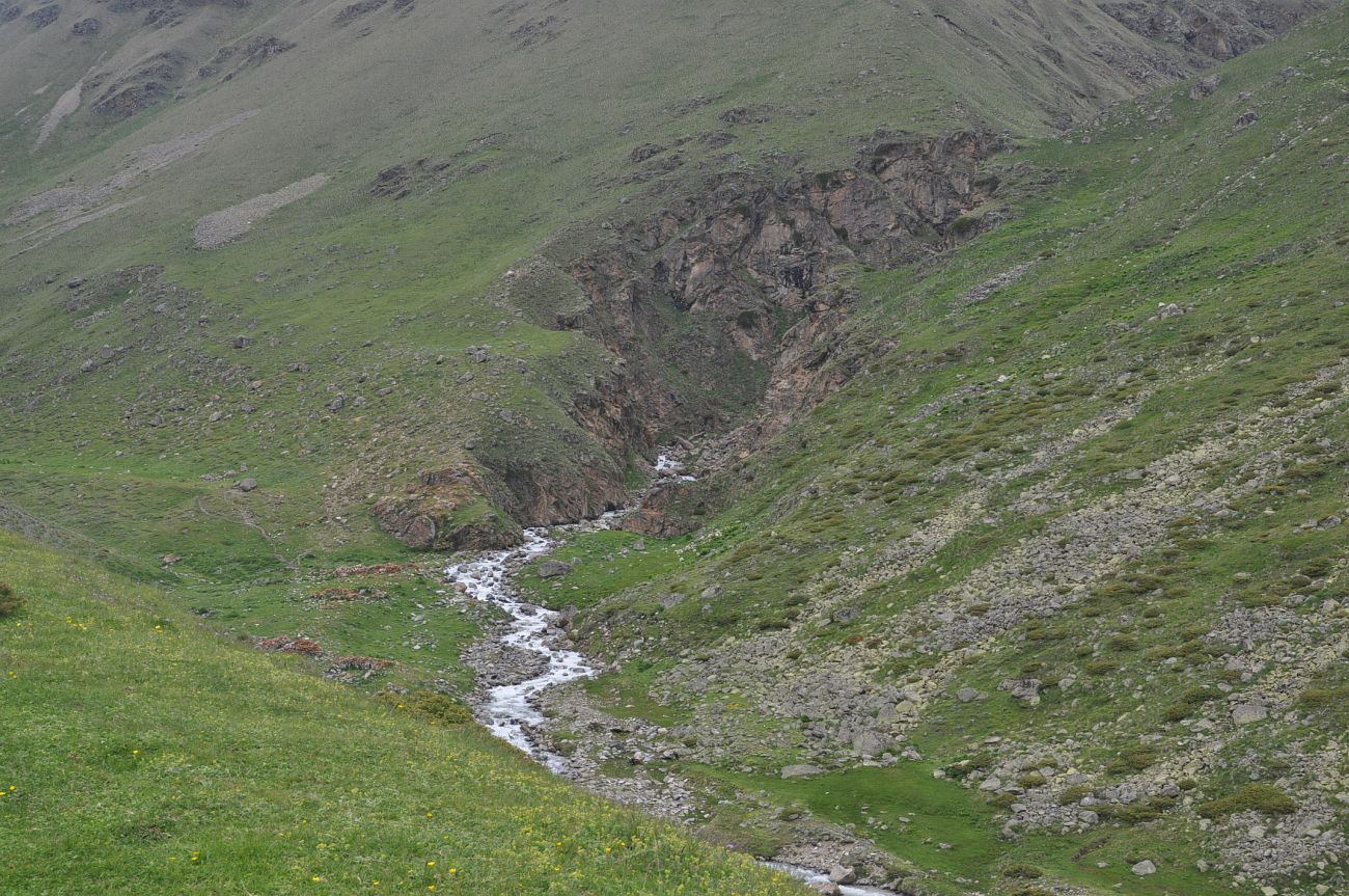 Долина реки Ирикчат, изображение ландшафта.