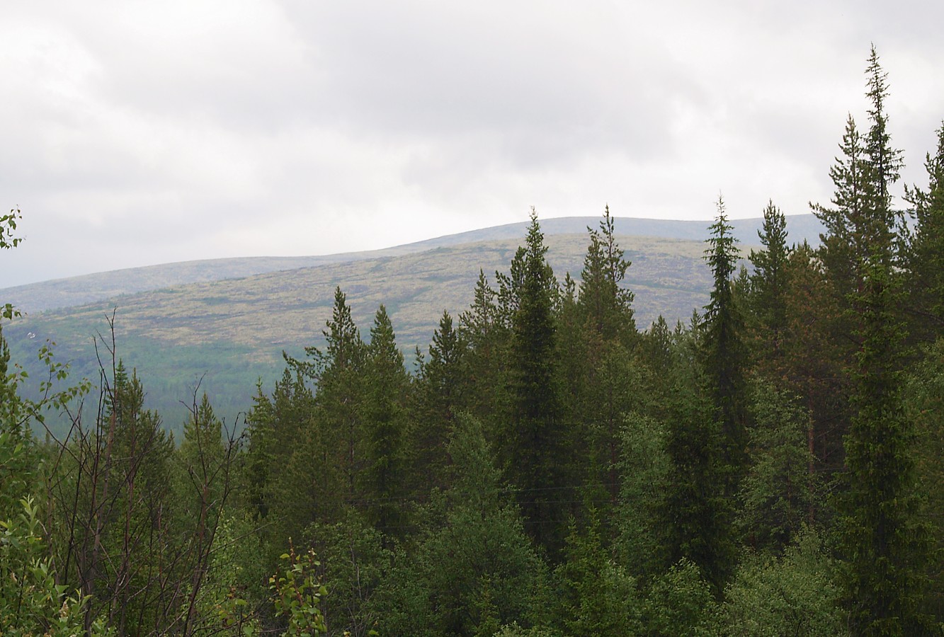 Западный склон Хибинпахнчорра, image of landscape/habitat.