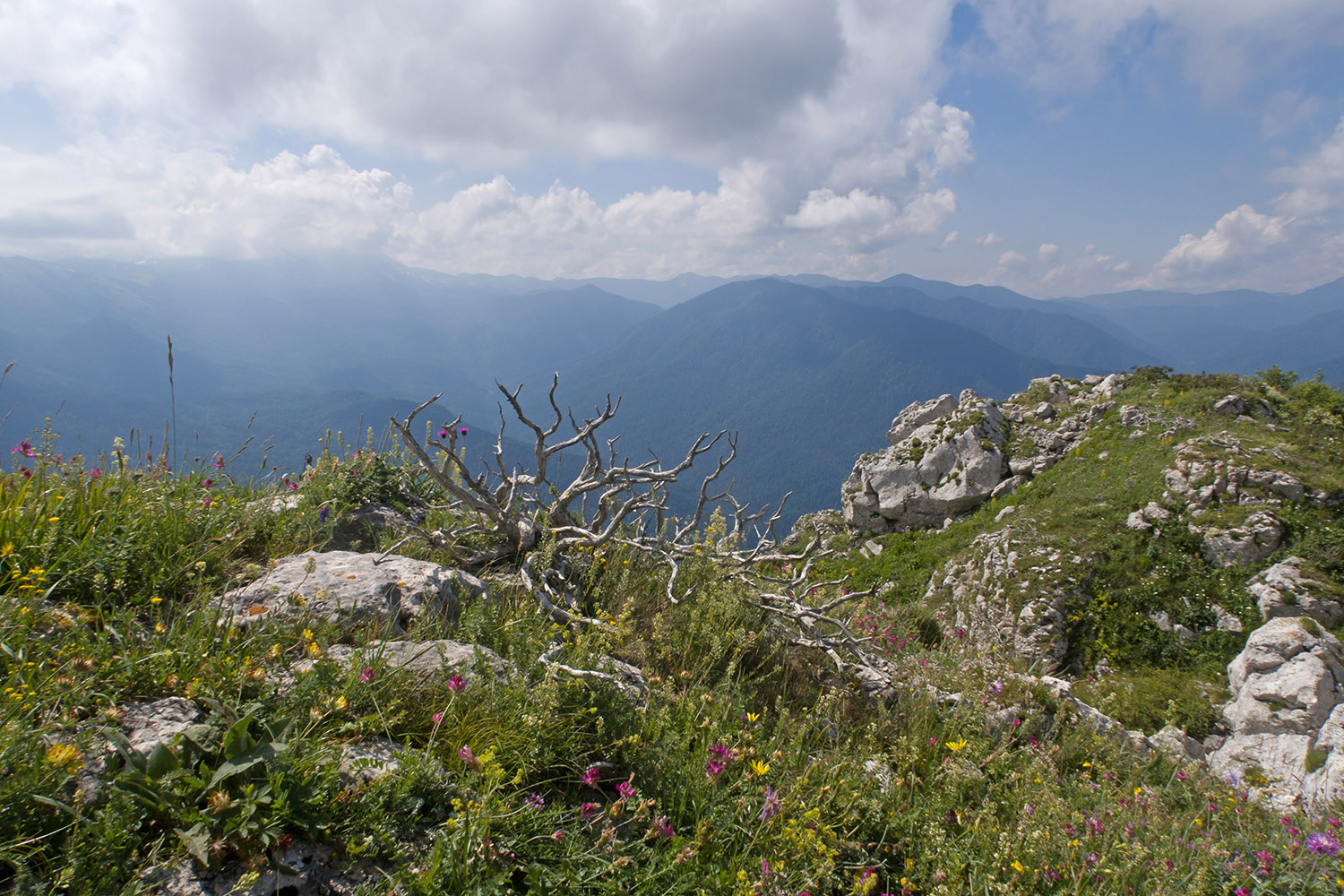Черногор, изображение ландшафта.