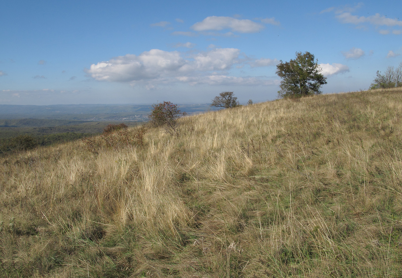 Гора Сагачёва, изображение ландшафта.