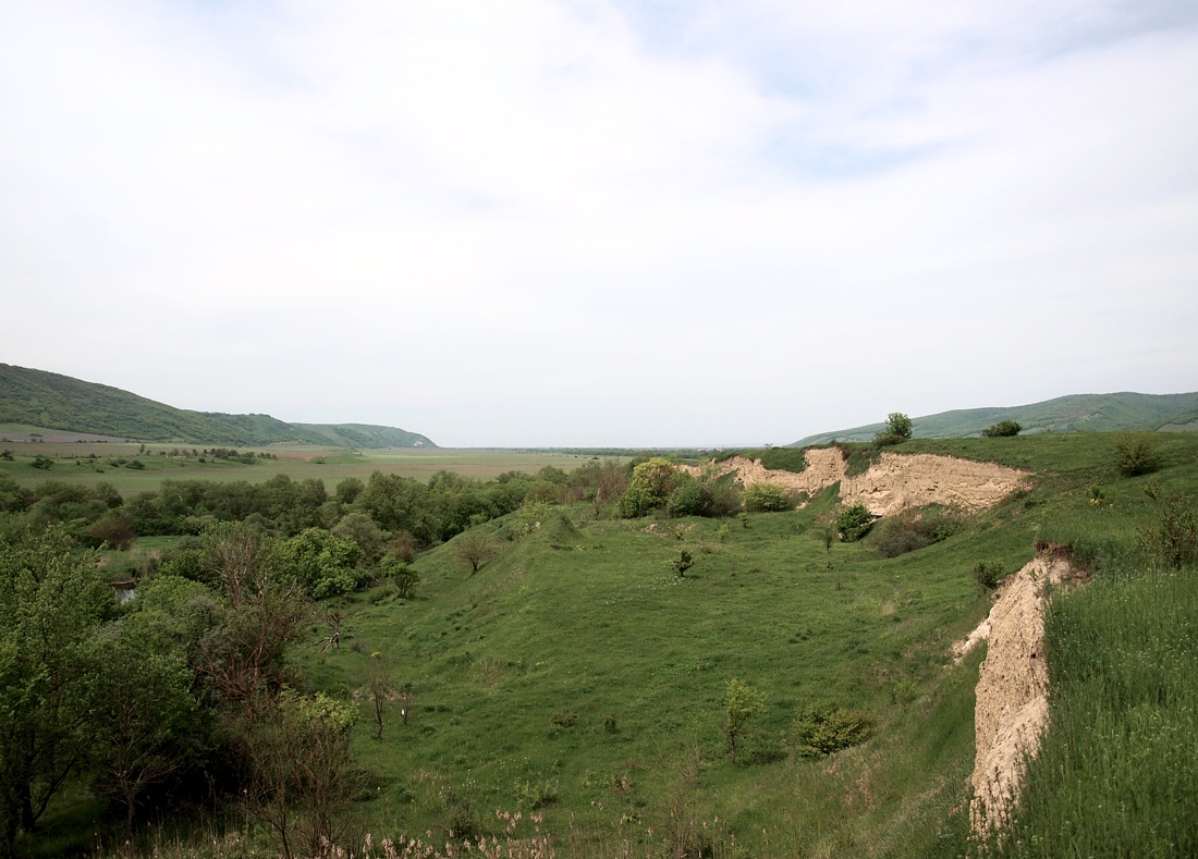 Север Осетинской равнины, изображение ландшафта.