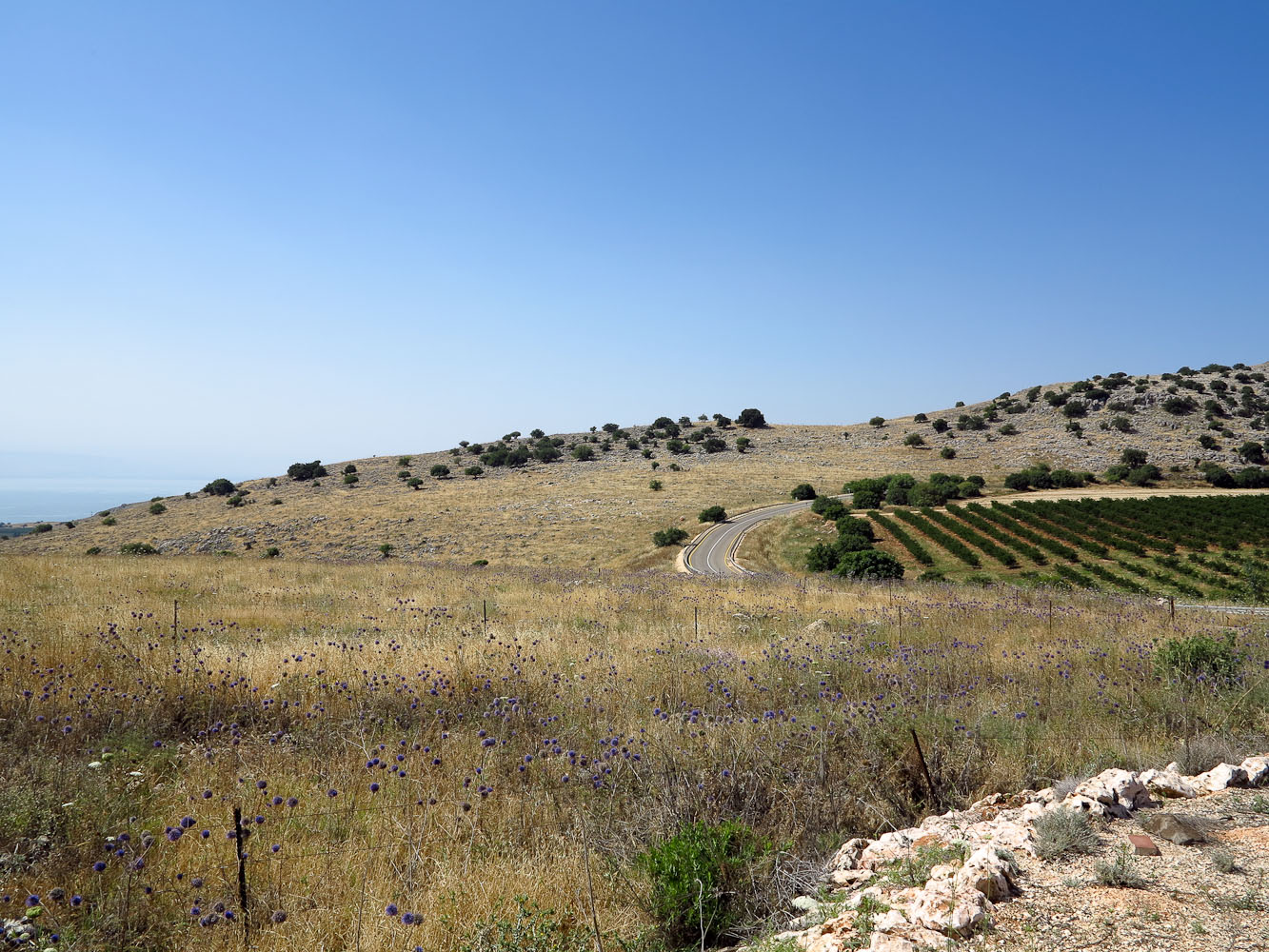Нижняя Галилея, изображение ландшафта.
