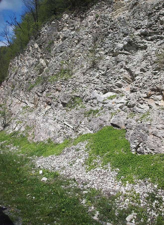 Низовья Куртатинского ущелья, изображение ландшафта.