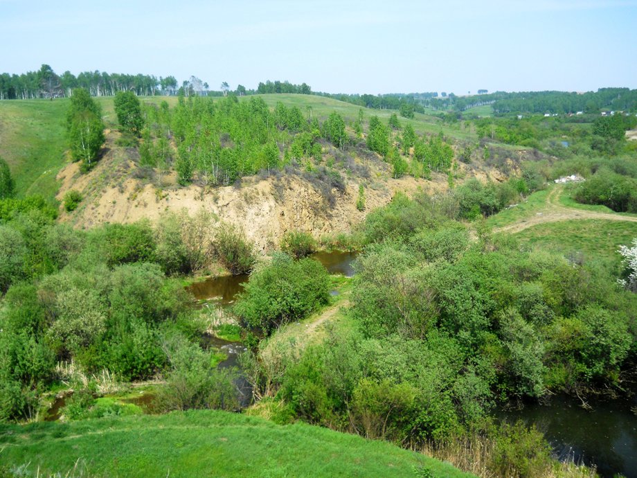 Долина реки Шипунихи, изображение ландшафта.