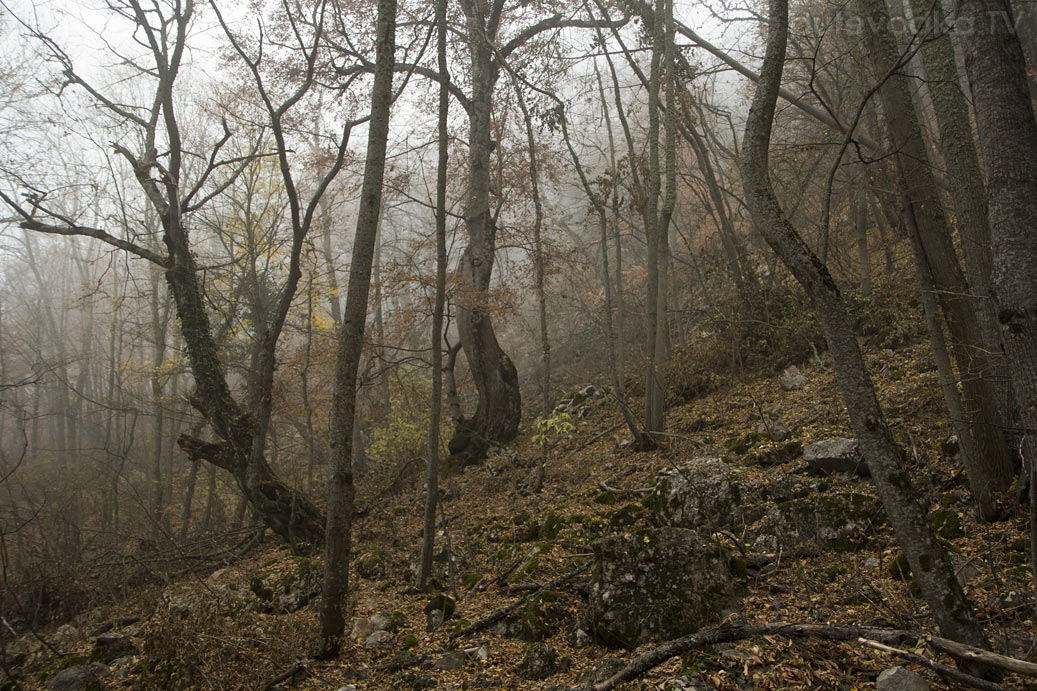 Урочище Парагильмен, изображение ландшафта.