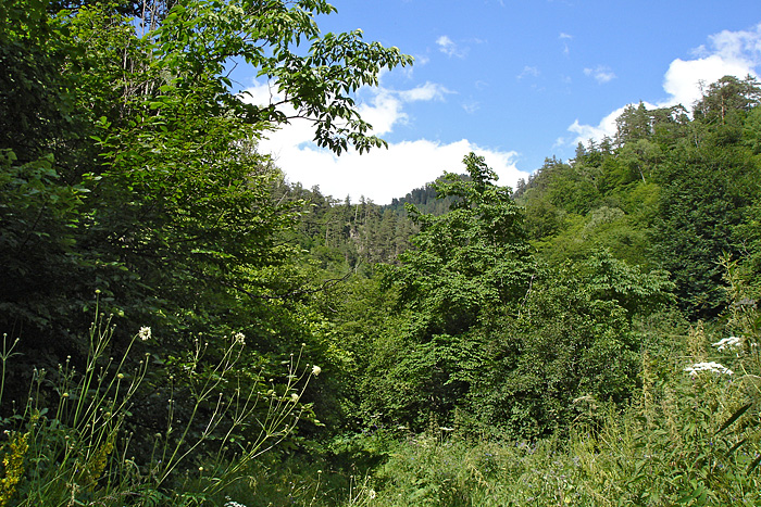 Кишкет, изображение ландшафта.