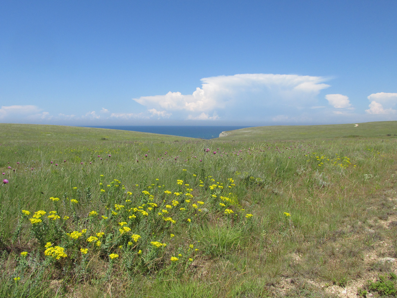 Кипчак, image of landscape/habitat.