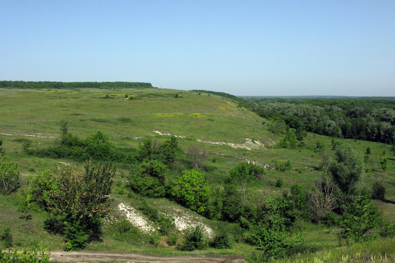 Белогорье, изображение ландшафта.