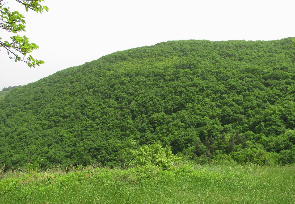 Дербент, изображение ландшафта.