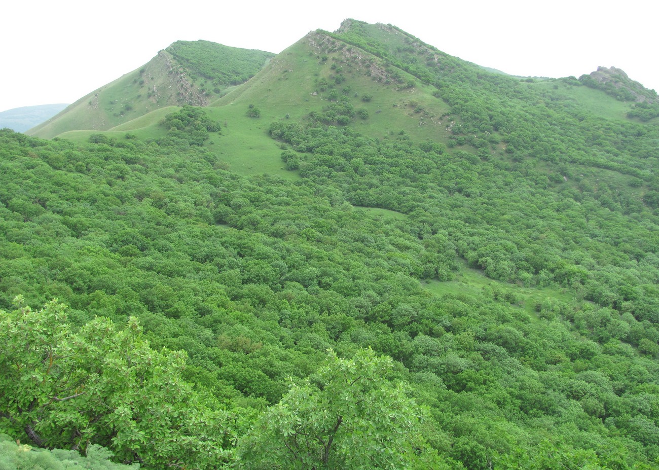 Хребет Нарат-Тюбе, изображение ландшафта.