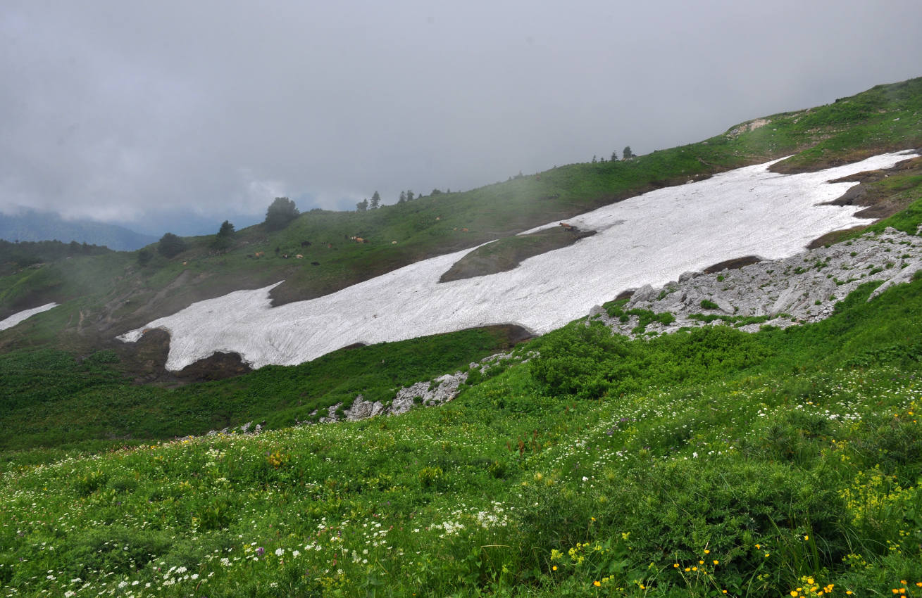 Перевал Белореченский, изображение ландшафта.