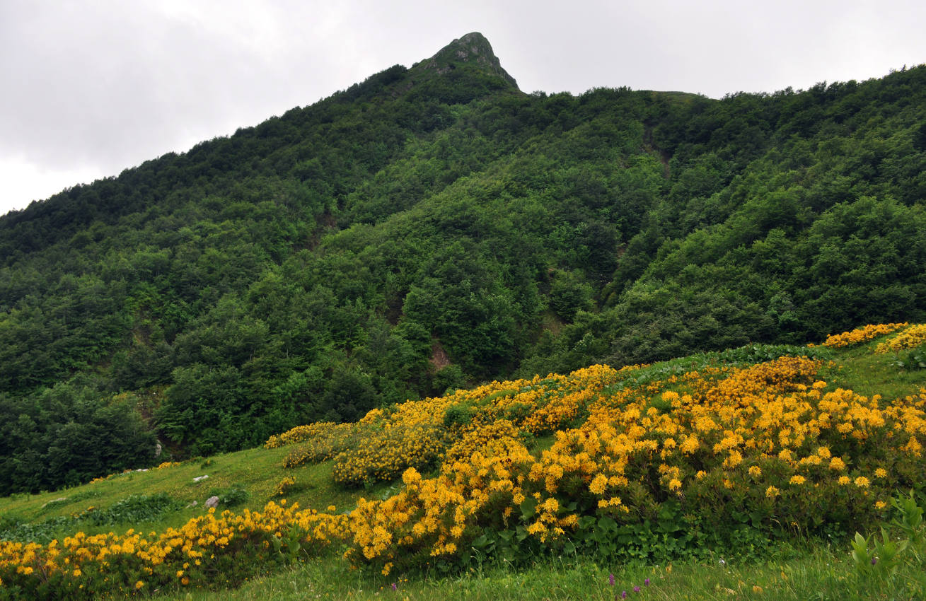 Перевал Черкесский, изображение ландшафта.
