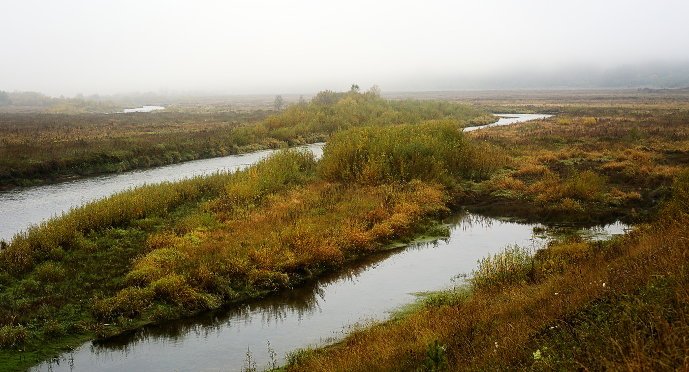 Окрестности села Ключи, image of landscape/habitat.