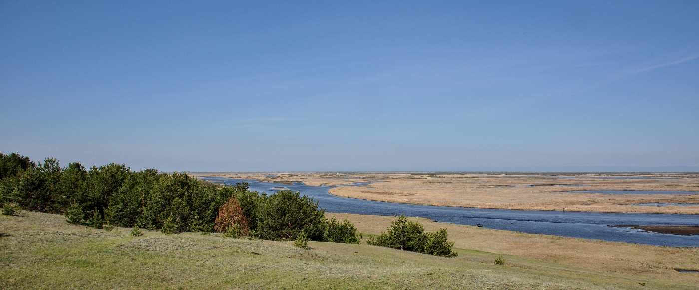 Дельта реки Селенги, изображение ландшафта.