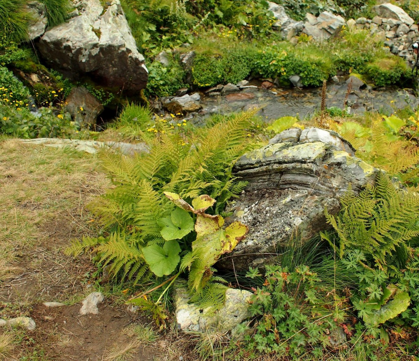 Черная пирамида, image of landscape/habitat.