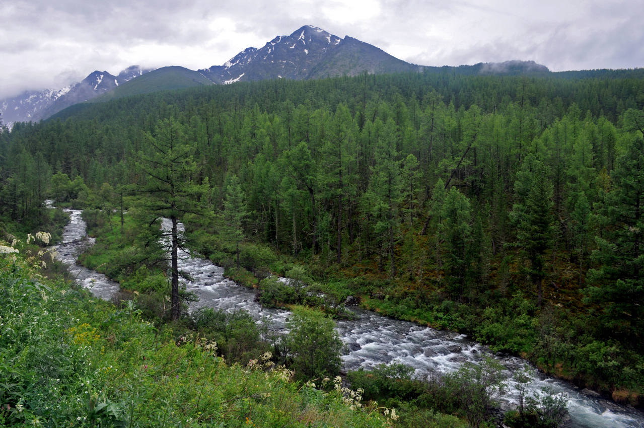 Долина реки Куйгук, изображение ландшафта.