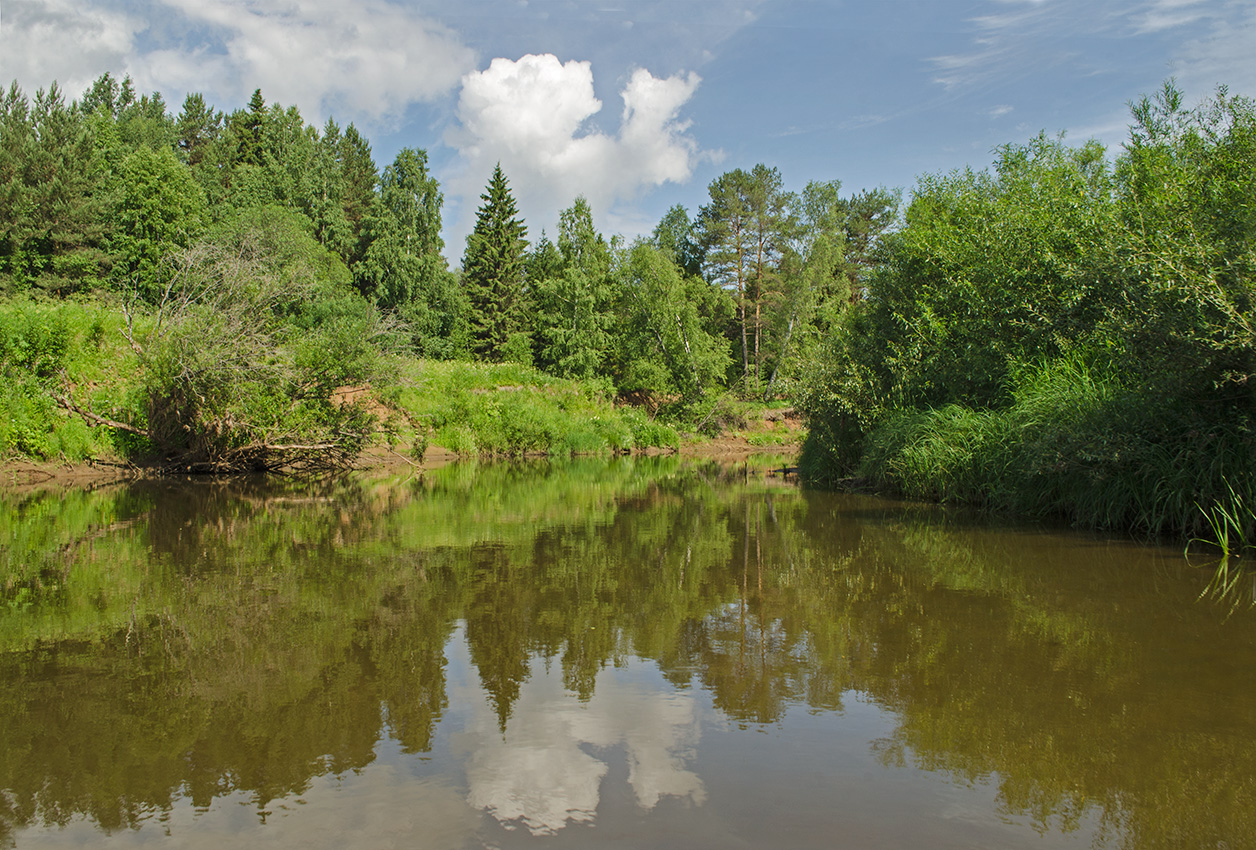 Окрестности села Вознесенское, изображение ландшафта.