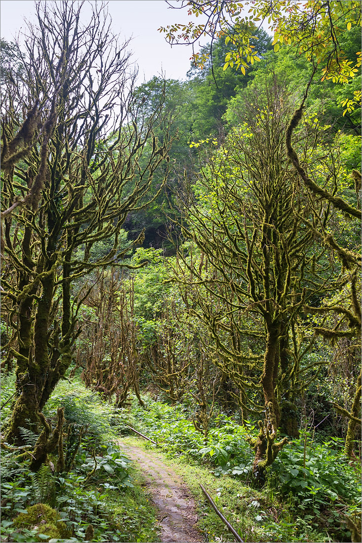 Мирвети, image of landscape/habitat.