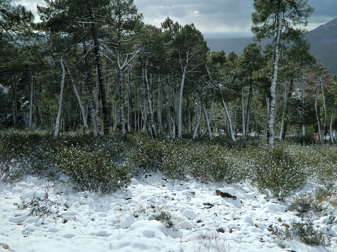 Аbantos (гора стервятников), изображение ландшафта.