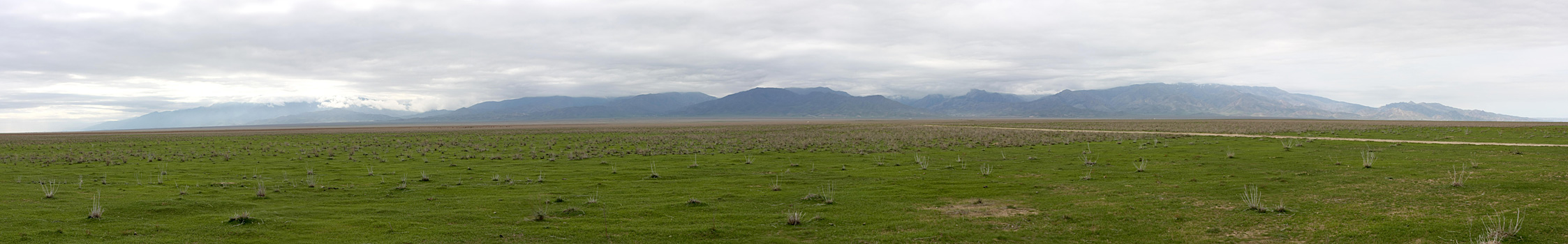 Подгорная равнина хребта Нуратау, изображение ландшафта.