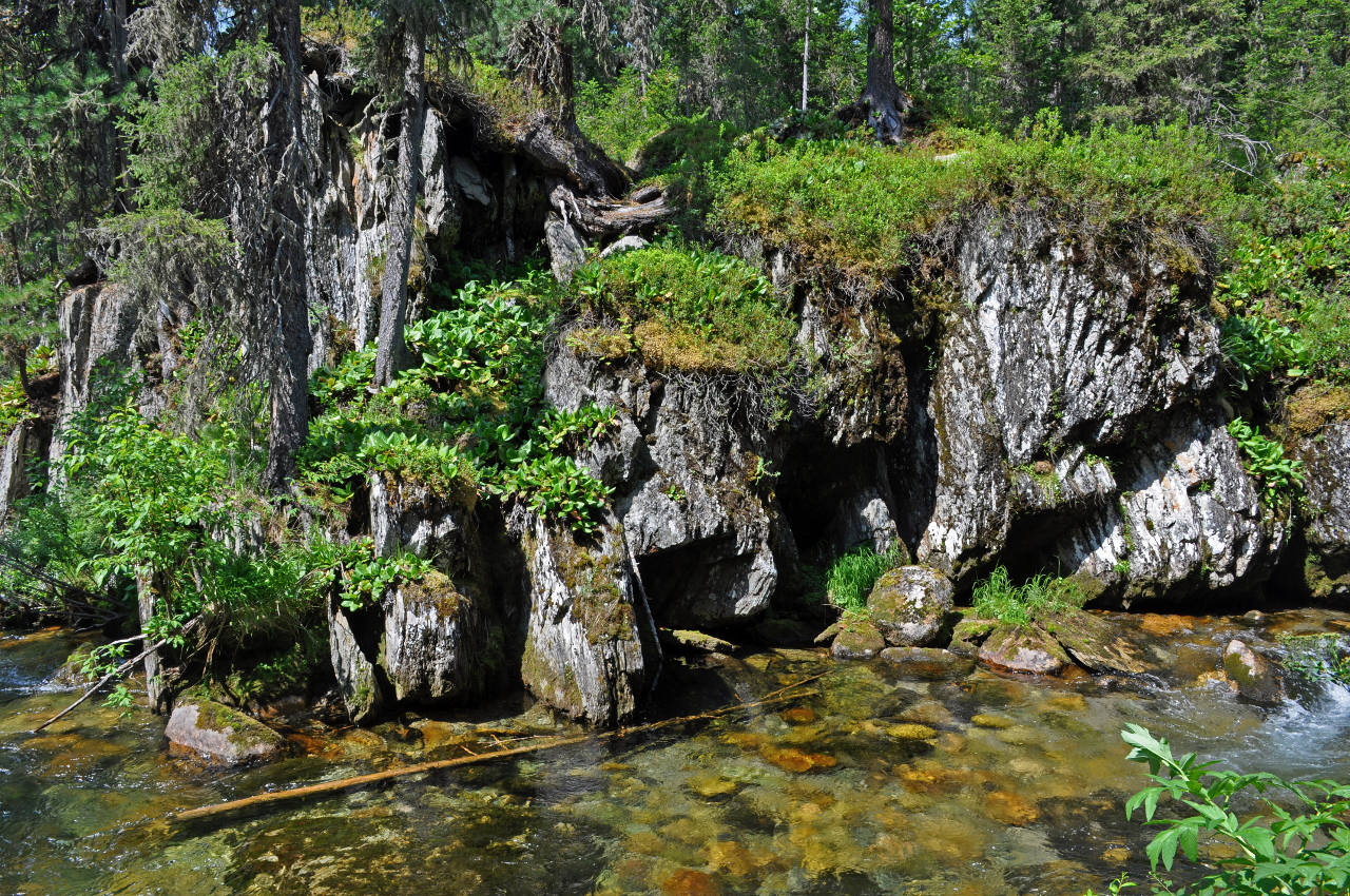 Долина реки Тушканчик, изображение ландшафта.
