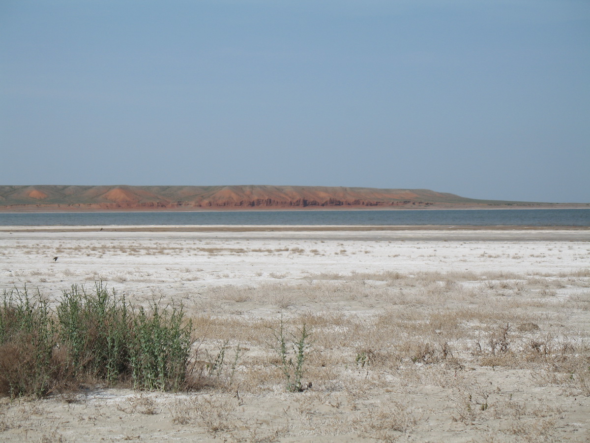 Озеро Кызылколь, изображение ландшафта.