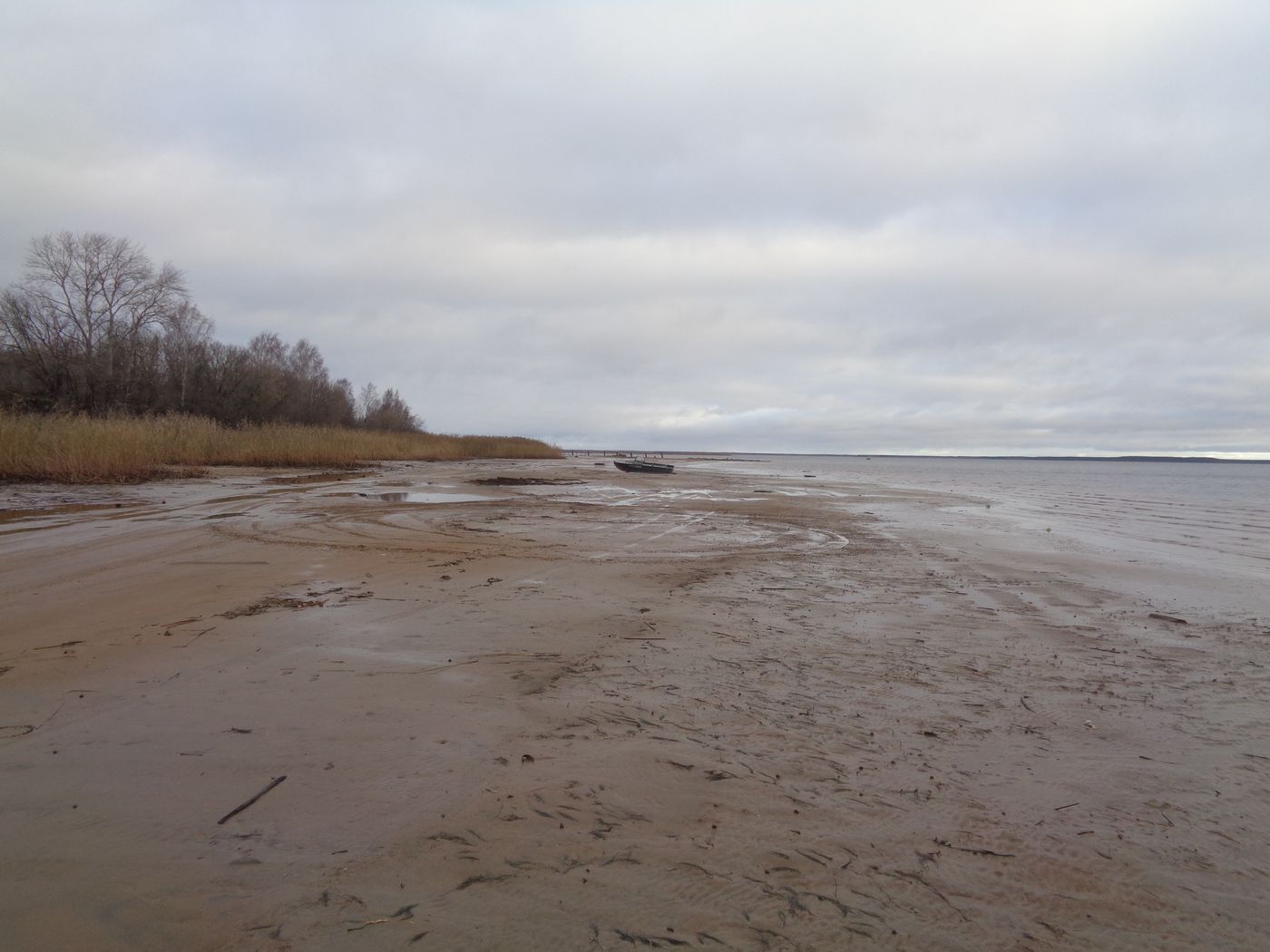 Остров Егорушкин и берег рядом, изображение ландшафта.
