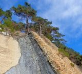 Побережье Джанхот-Прасковеевка, image of landscape/habitat.